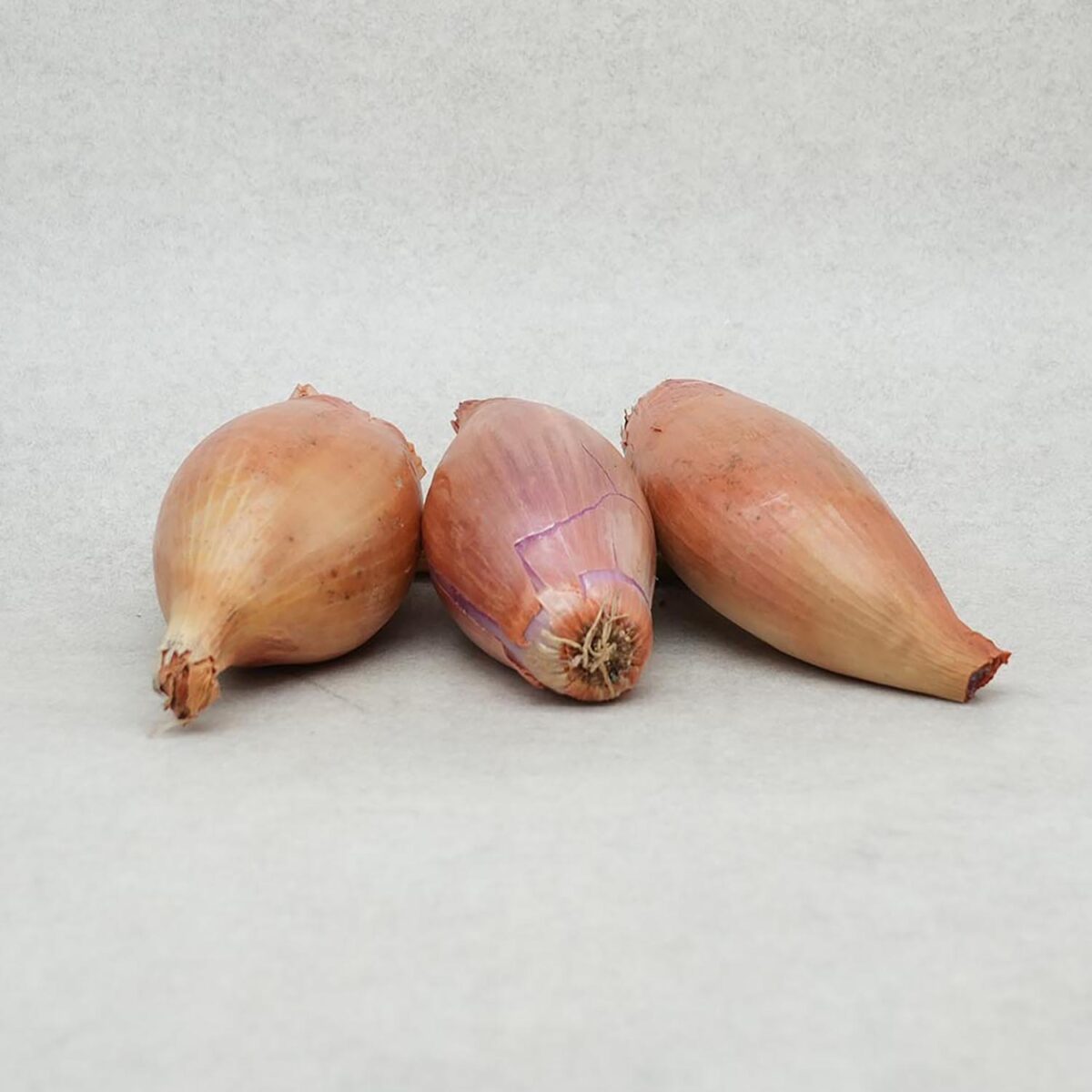 ÉCHALIONS FIGARO – Image 1