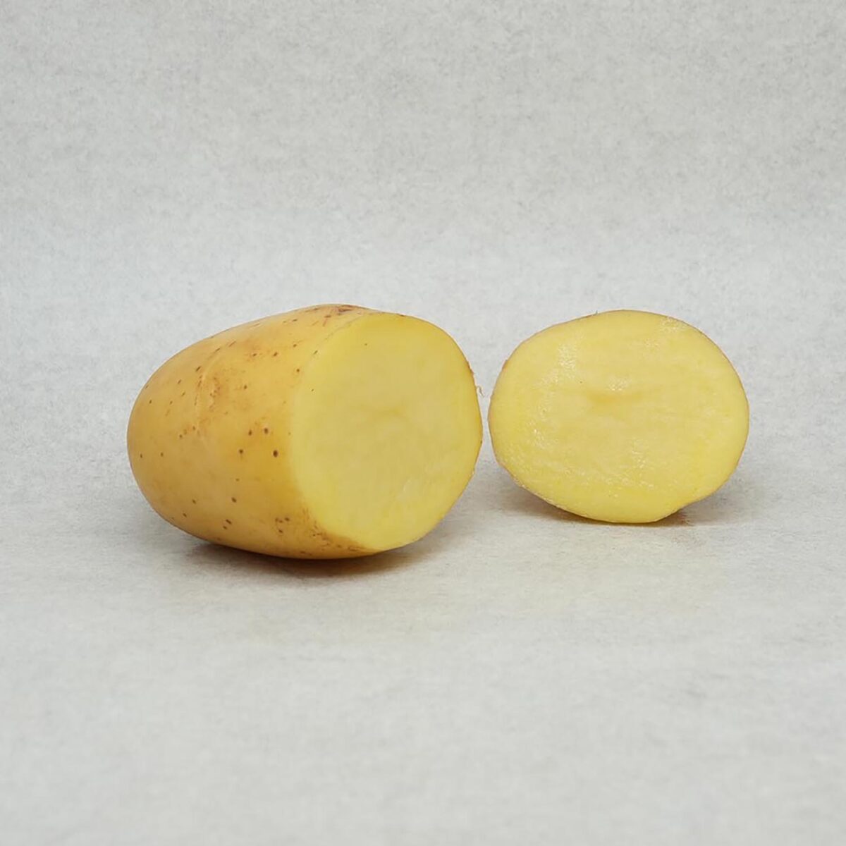 POMME DE TERRE AGATA – Image 2
