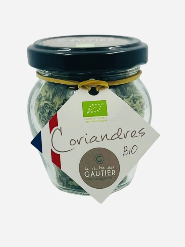 CORIANDRES FEUILLES LA RECOLTE DES GAUTIER