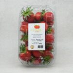 BARQUETTE DE FRAISES "LA FRAISERAIE DE SOURS"