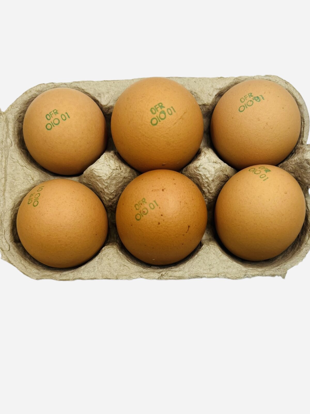 OEUFS BIO x6 Taille M – Image 2