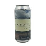 BIÈRE CANETTE CLOUDY POP BRASSERIE DE LA VALLÉE