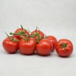 TOMATES RONDES  "LA TOMATE DES FRÈRES BESNARD"