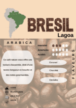 CAFÉ EN GRAIN "BRESIL" La Brulerie Chartraine – Image 2