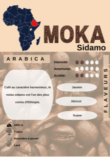 CAFÉ EN GRAIN "MOKA" La Brulerie Chartraine