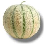 Melon gros de BINAS taille 9 (de 1350-1750g) LE FRUITÉ DE BINAS