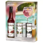 COFFRET DE SIROPS POUR COCKTAIL PISCINE