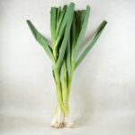 POIREAUX LES JARDINS D'IMBERMAIS