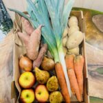 PANIER DE FRUITS ET LÉGUMES DU MOIS