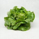 SALADE (ATTENTION VARIÉTÉ SUIVANT ARRIVAGE) – Image 3