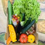 PANIER DE LÉGUMES DU MOIS DE JUILLET À 16 €