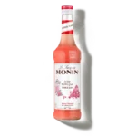 LE SIROP DE MONIN BUBBLE GUM