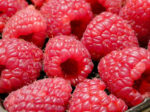 BARQUETTE DE FRAMBOISES "saveurs de fontaine" – Image 2