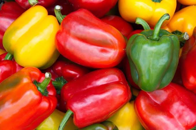 poivrons POIVRONS MIX COULEURS "KULTIVE" – Image 1