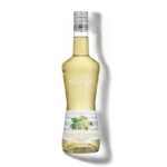 LIQUEUR MONIN FLEUR DE SUREAU 20%
